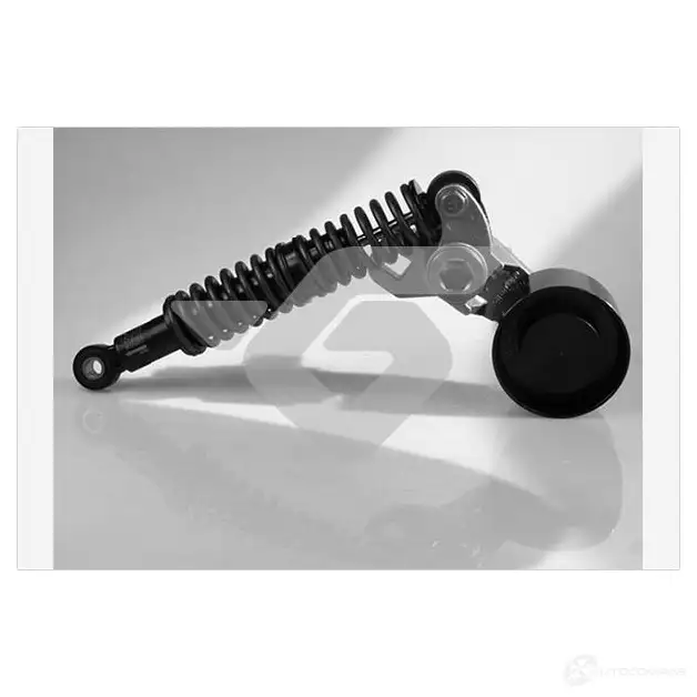 Натяжной ролик приводного ремня HUTCHINSON VGAKS W t3016 1988189 3159750650861
