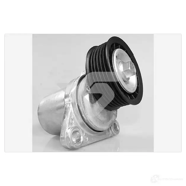 Натяжной ролик приводного ремня HUTCHINSON t0491 K0A PE 1220861818 3159750834261 изображение 0
