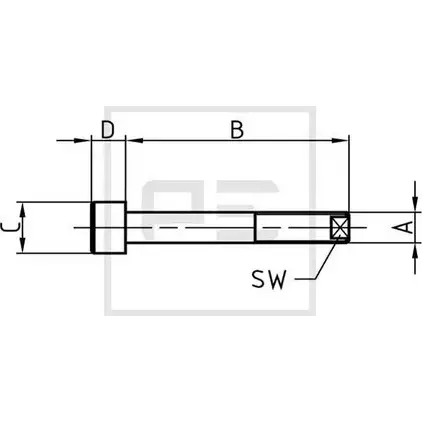 Центровой болт рессоры PE AUTOMOTIVE 015.572-00A 724635 WUUV9OW CM 3DJ9K