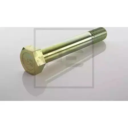 Болт PE AUTOMOTIVE BSCEGN 727302 O9HI0 M 044.034-00A