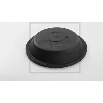 Мембрана, мембранный тормозной цилиндр PE AUTOMOTIVE FT8OT9U 728735 076.412-10A MT W2R