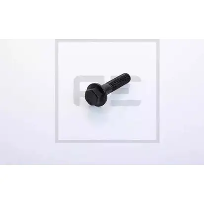 Болт PE AUTOMOTIVE 5HX9Y 129.033-00A 731911 E C9FP3 изображение 0
