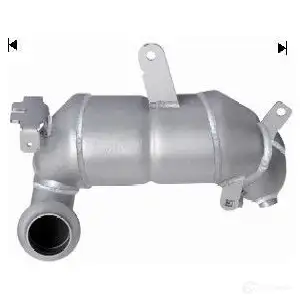 Катализатор VEGAZ pgk317 1437922454 WHDT 5P