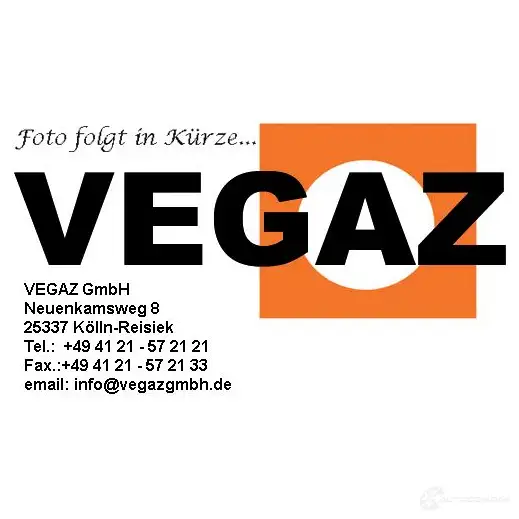 Катализатор VEGAZ 1437918117 vk413 TM FBXK изображение 0