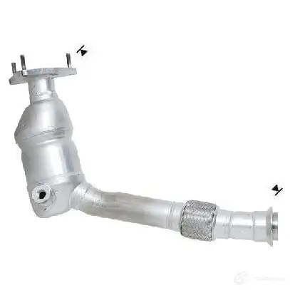 Катализатор VEGAZ 5SM5 I 1437923136 ck807
