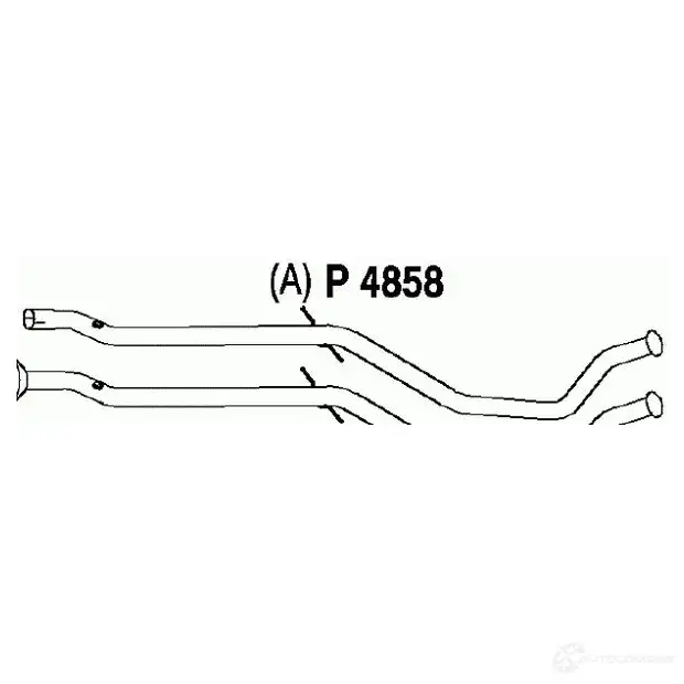 Выхлопная труба глушителя VEGAZ NSUE F 1437879374 pgr253