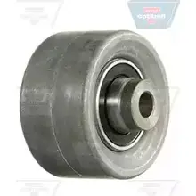 Ролик ремня ГРМ, обводной, паразитный OPTIBELT 785810 255UT P1R NS ZEWI7 изображение 0