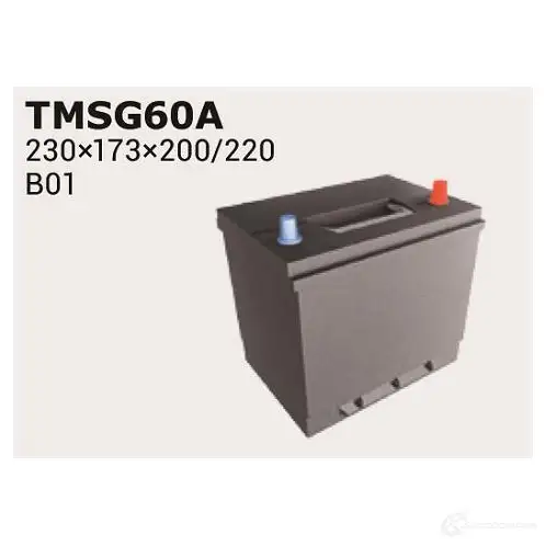 Аккумулятор IPSA TMSG60A 1194093578 560 410 054 55D23L - Изображение 1