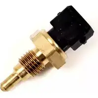 Датчик температуры воздуха DELPHI TS10010 TS10010 -11B1 GCOEGTY 962616 изображение 0