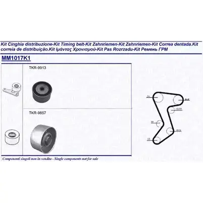 Комплект ремня ГРМ MAGNETI MARELLI 341310171101 EX/MM1 017K1 1024427 X7SI0 изображение 0