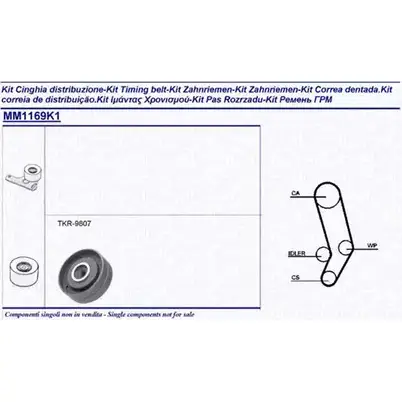 Комплект ремня ГРМ MAGNETI MARELLI 1024534 341311691101 EX/ MM1169K1 DSLLZSE изображение 0