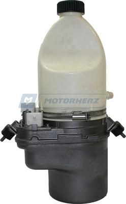 Насос Гур MOTORHERZ 1440600256 G3007HG L J3ICDD - Изображение 1