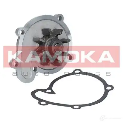 Водяной насос, помпа KAMOKA TYSJ8Y X t0217 1218704595 изображение 0