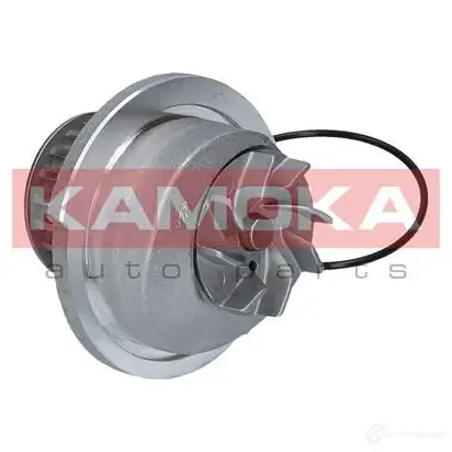 Водяной насос, помпа KAMOKA L8U 1TZ t0235 1218704915 изображение 0