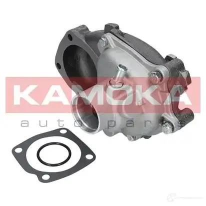 Водяной насос, помпа KAMOKA t0125 1218703551 95CCN MF изображение 1