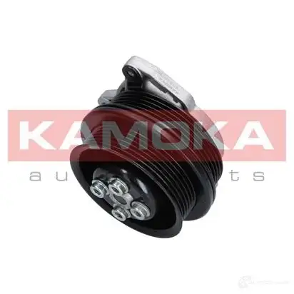 Водяной насос, помпа KAMOKA WI813M I t0278 1218705417 изображение 0