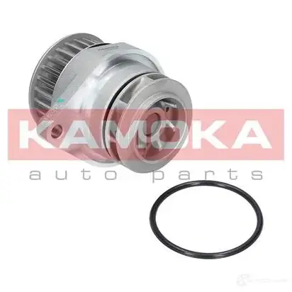 Водяной насос, помпа KAMOKA 2WRZ WNO t0249 1218705087 изображение 0