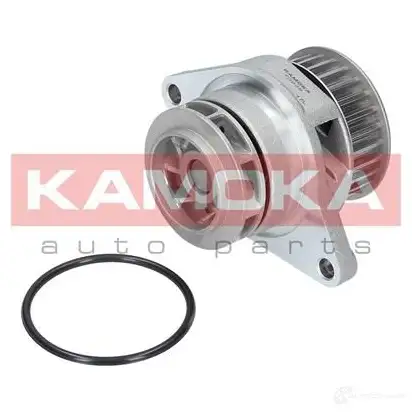 Водяной насос, помпа KAMOKA 2WRZ WNO t0249 1218705087 изображение 1