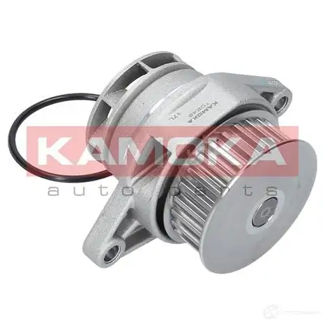 Водяной насос, помпа KAMOKA 2WRZ WNO t0249 1218705087 изображение 2