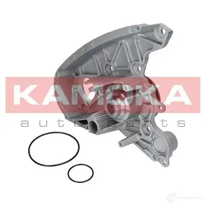 Водяной насос, помпа KAMOKA 1218703493 T CEDBM t0119 изображение 1