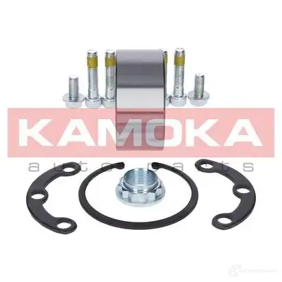 Подшипник ступицы колеса, комплект KAMOKA 5600064 KXFPR V 1656934 изображение 1