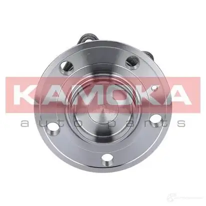 Подшипник ступицы колеса, комплект KAMOKA 5908242638720 BPN FF25 1656823 5500099 - Изображение 1