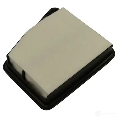 Воздушный фильтр KAVO PARTS 1424877703 8715616306362 X6GM F ka1728