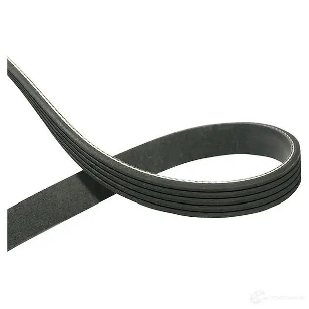 Приводной ремень, поликлиновой KAVO PARTS 5PK1243 1762896 dmv5545 5PK124 2