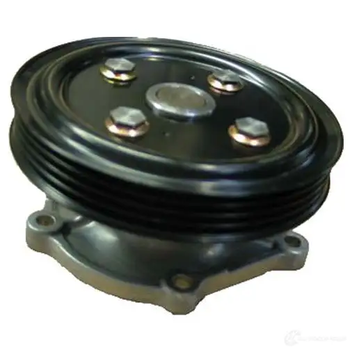 Водяной насос, помпа KAVO PARTS 8715616015783 sw1909 C0CA W5 1773722