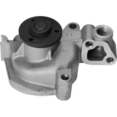 Водяной насос, помпа BUGATTI V W7CTZ 1161843 PA0239