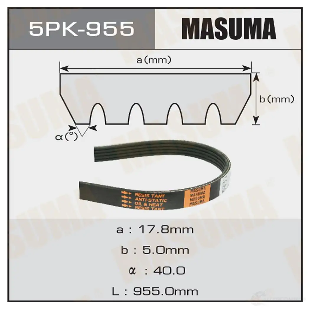 Ремень привода навесного оборудования MASUMA 5PK-955 IX1 E4 1422885101 изображение 0