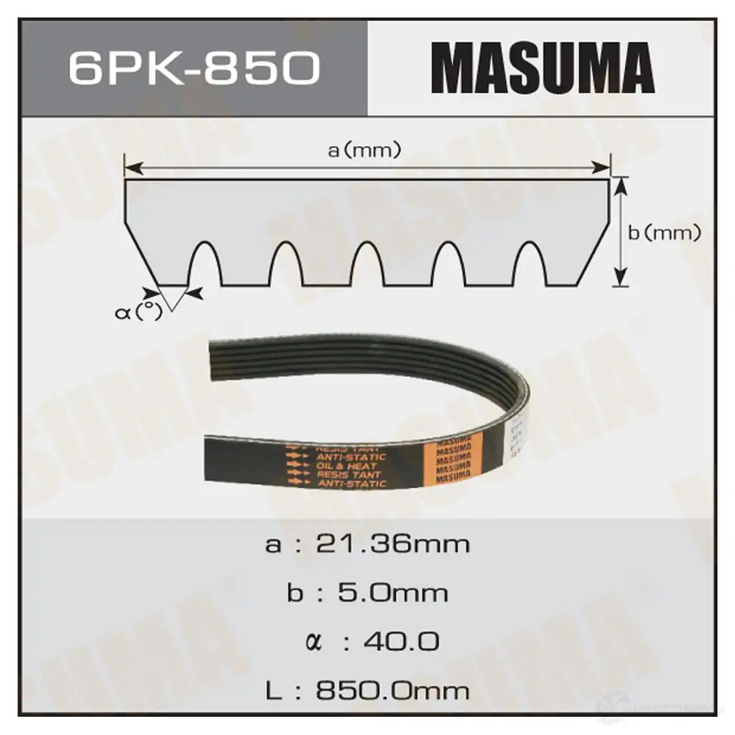 Ремень привода навесного оборудования MASUMA 6PK-850 B3 YXGY 1422885375 изображение 0