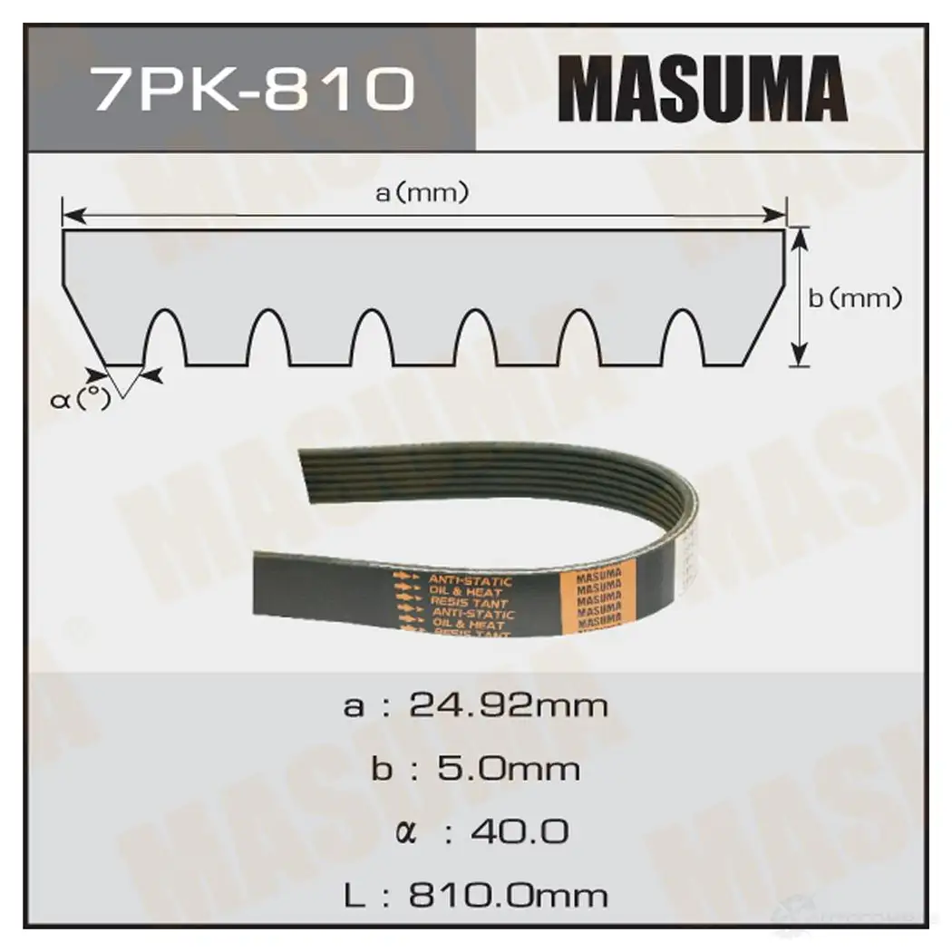 Ремень привода навесного оборудования MASUMA ZG0 XCFY 7PK-810 1422885146