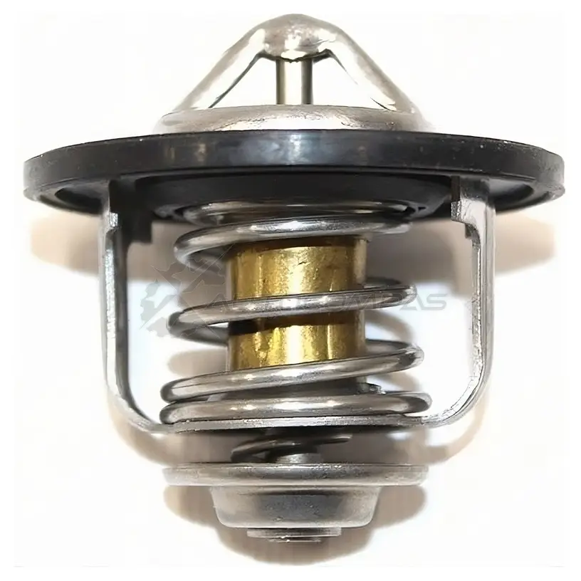 Термостат с прокладкой Isuzu FSR90 SAT EAP4 2TW 1422807769 ST8973007903