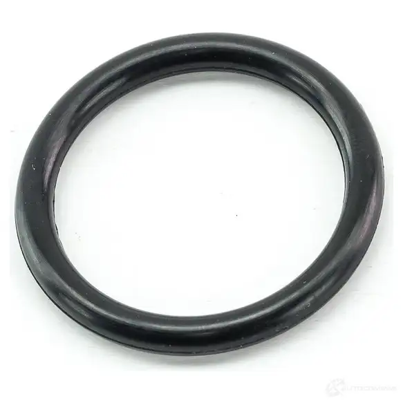 Уплотнительное кольцо выпускной канал маслоохладителя (резиновое) DOMINANT OP56500969 1439910494 UWJ SRP изображение 0