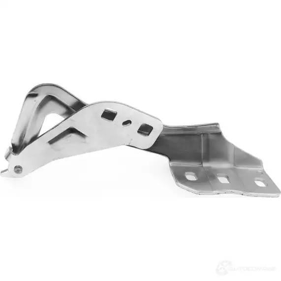 Петля капота правый TYG IBYZ1 G FD21174AR 1422703932