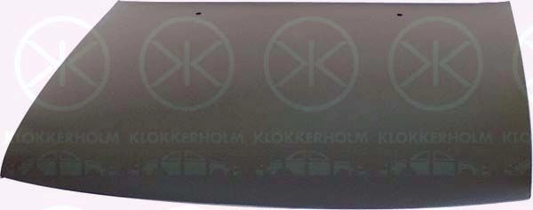 Капот KLOKKERHOLM 1440734391 5050280 DN70A I изображение 0