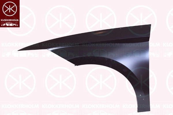 Крыло KLOKKERHOLM 1440734650 D6Q P3 6622311A1 изображение 0