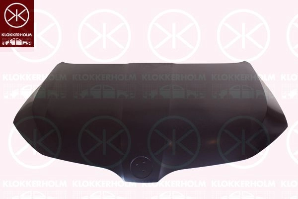 Капот KLOKKERHOLM 1440734764 X OVZWY 7522281A1