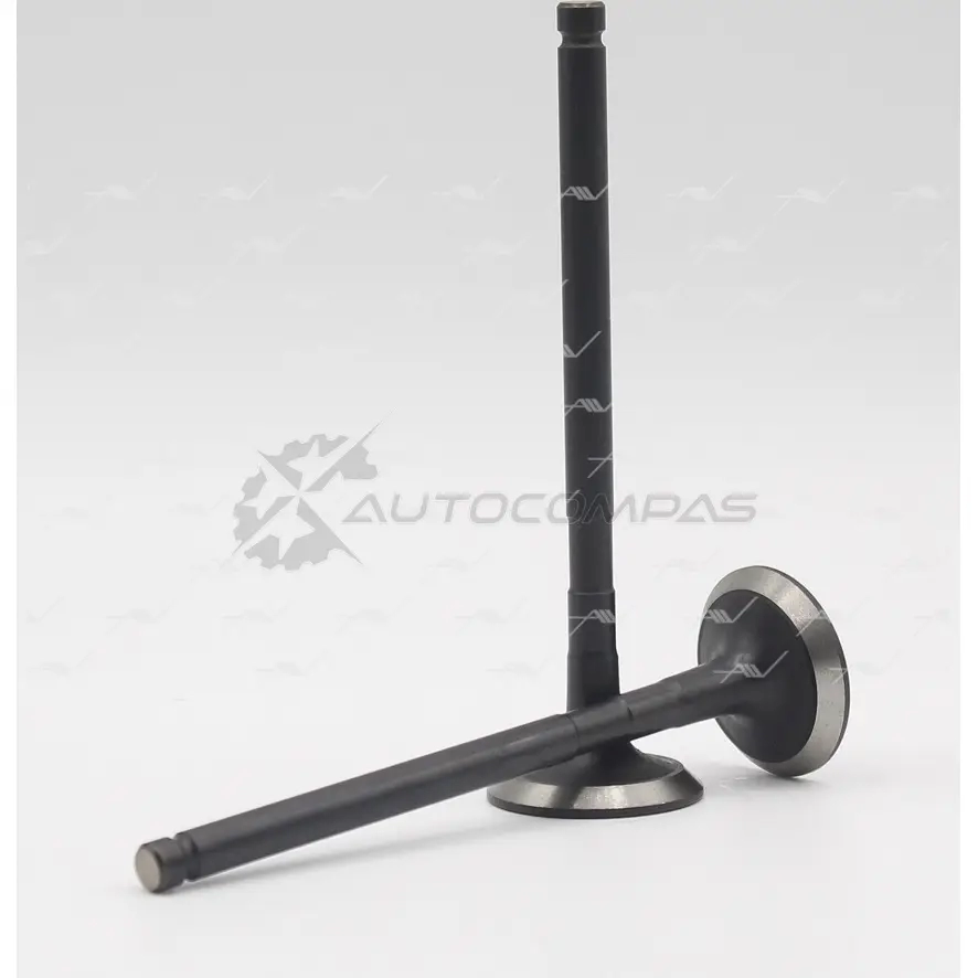 Клапан AUTOWELT 1441178817 VE-34013 KQ E6E5 - Изображение 1