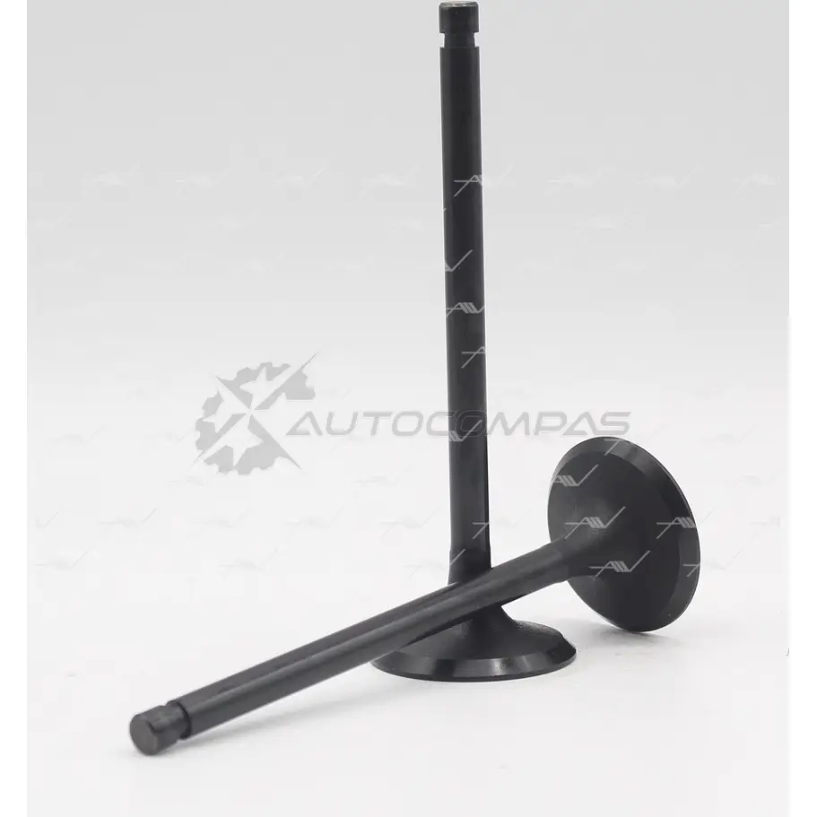Клапан AUTOWELT 1441177832 NS 9QJ VI-33000 - Изображение 1