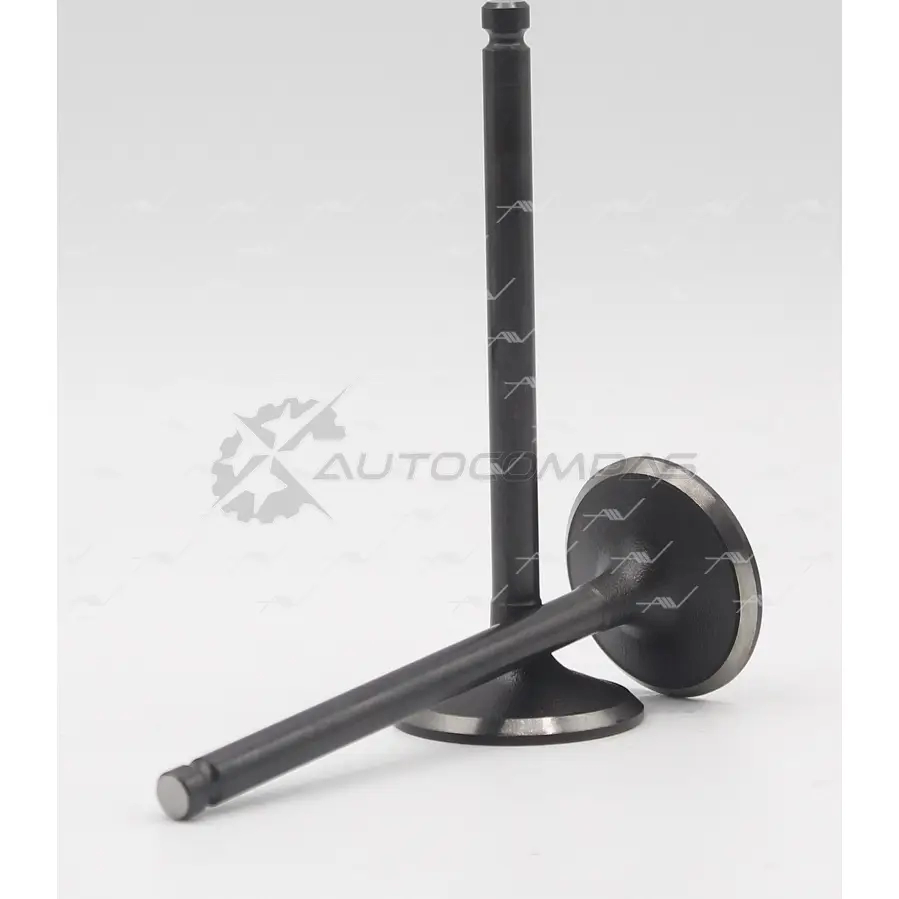 Клапан AUTOWELT VI-31006 1441176784 BA VYCK - Изображение 1