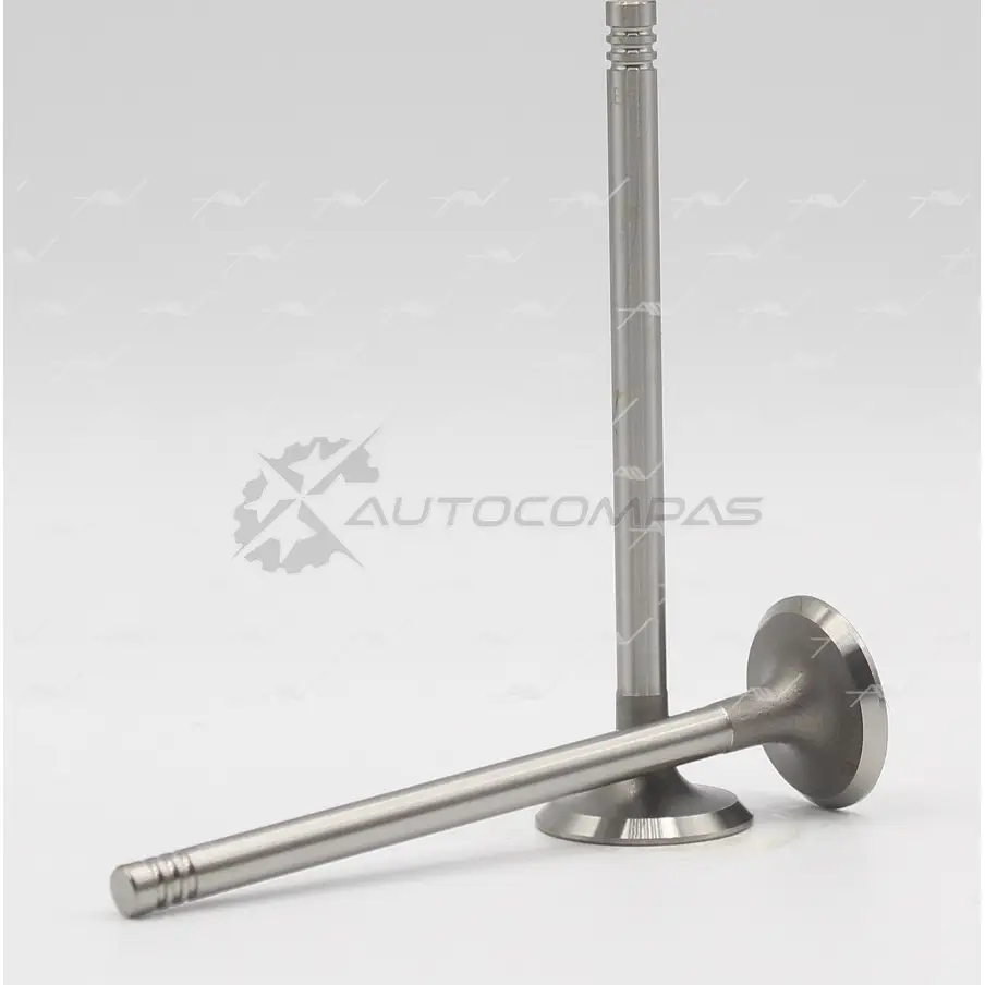 Клапан AUTOWELT VE-51013 XMP 7E8 1441179460 - Изображение 1