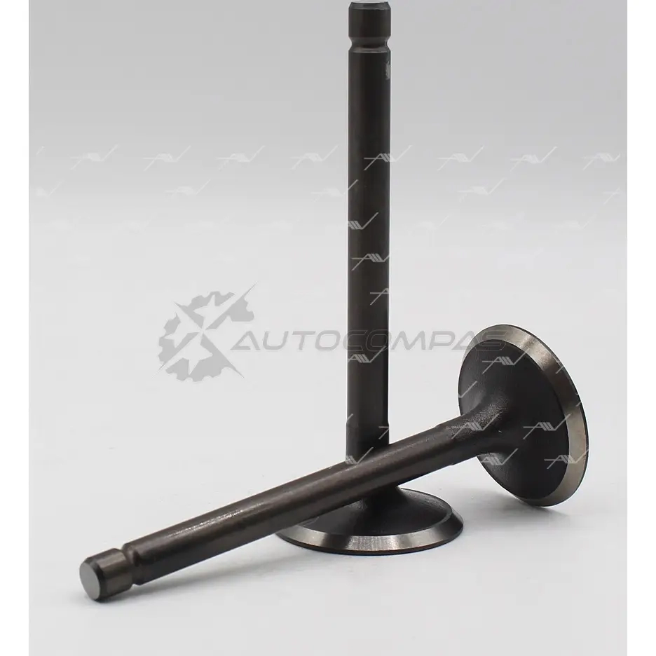 Клапан AUTOWELT ZYYSL A VI-60003 1441176651 - Изображение 1
