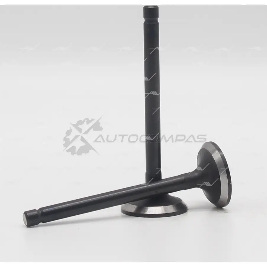 Клапан AUTOWELT VI-60006 HG Z1RS 1441176508 - Изображение 1