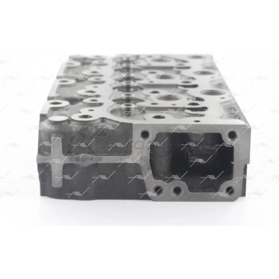 Головка блока AUTOWELT 1441176495 V4 OM8X ZK-60007 - Изображение 1