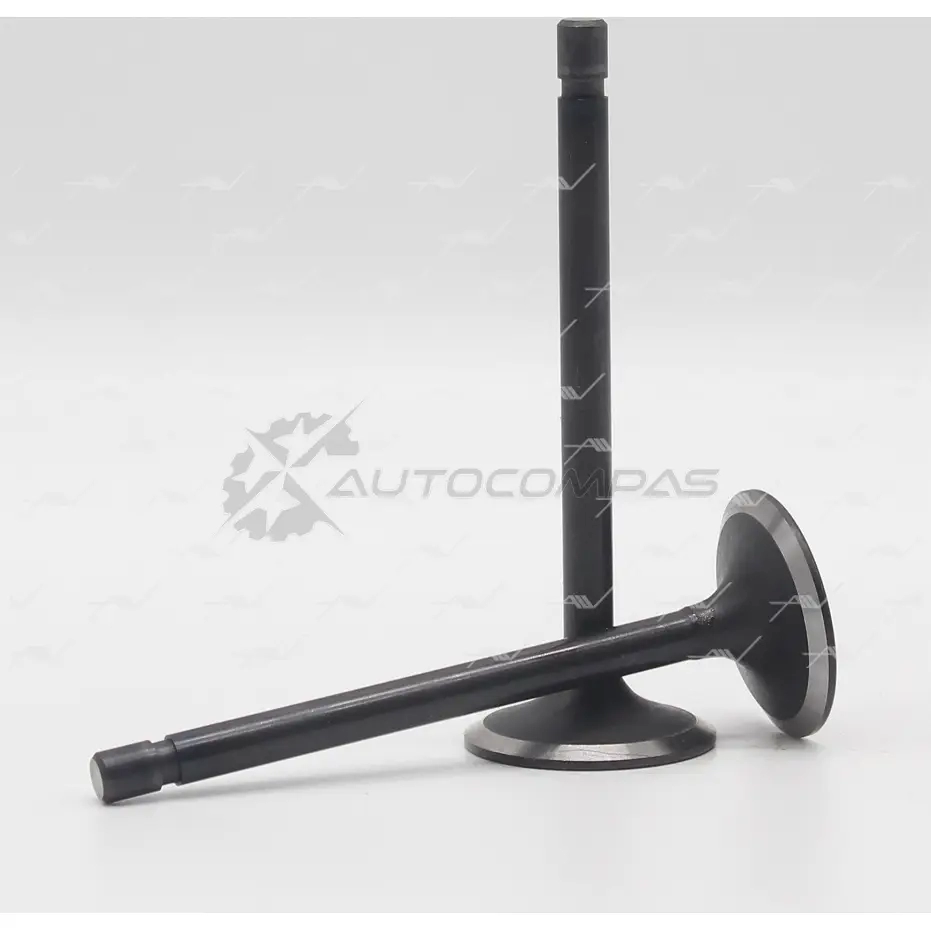 Клапан AUTOWELT 1441176460 FV8PD 4 VI-60005 - Изображение 1