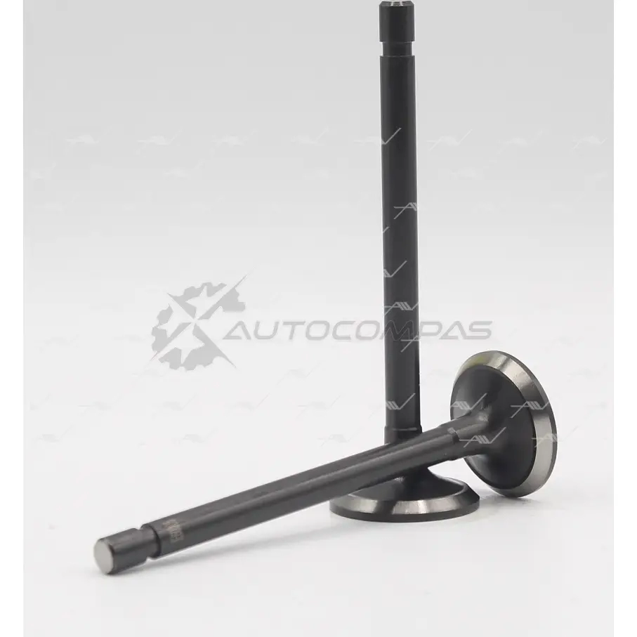 Клапан AUTOWELT VE-60005 1441176459 SPT S6 - Изображение 1