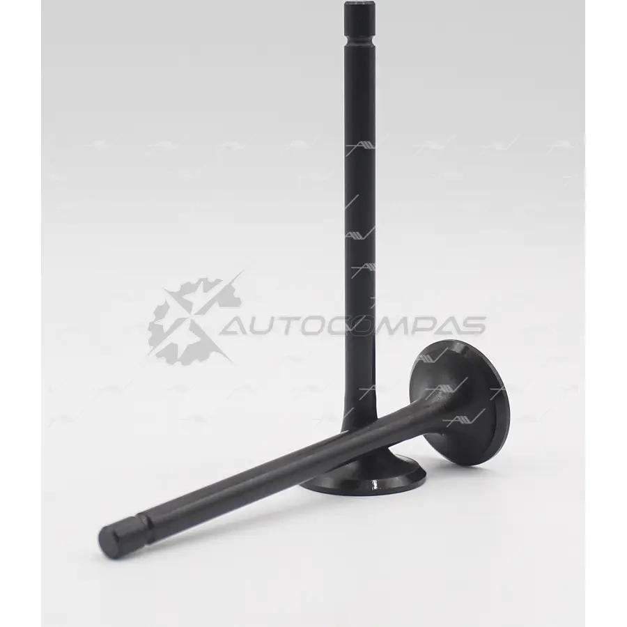 Клапан AUTOWELT 1441176062 RF 8B0N VE-30010 - Изображение 1
