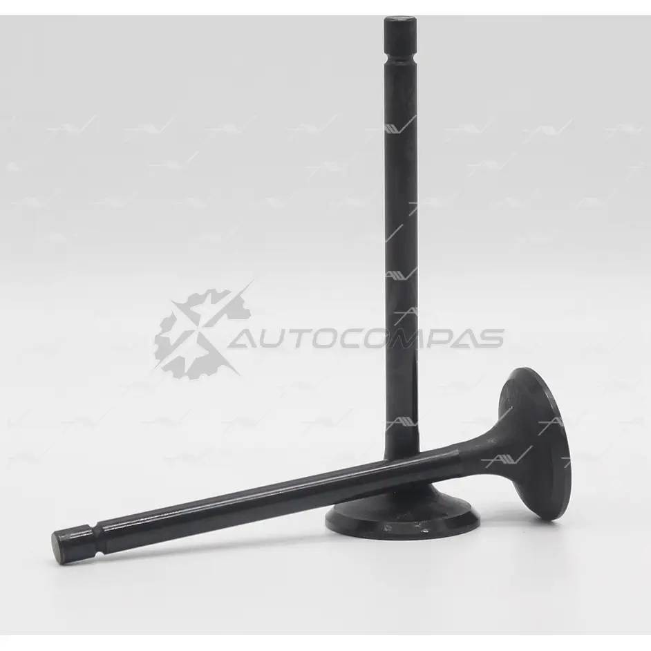Клапан AUTOWELT VI-30010 1441176061 VNJW UB - Изображение 1